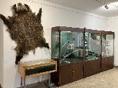 2023-10-13 Muzeum ?r n.S.